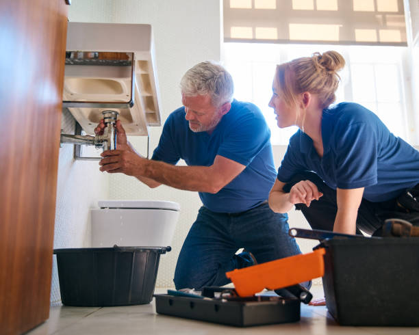 Best Sprinkler Systems  in Stevenson Ranch, CA