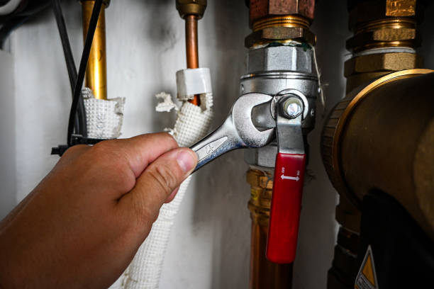 Best Local Plumber Services  in Stevenson Ranch, CA